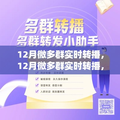 全面评测与介绍，12月微多群实时转播