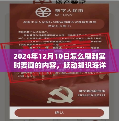 跃动知识海洋，2024年12月10日实时要闻刷新实时世界