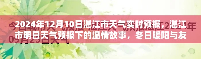 湛江市天气预报，冬日暖阳下的友情长伴纪实