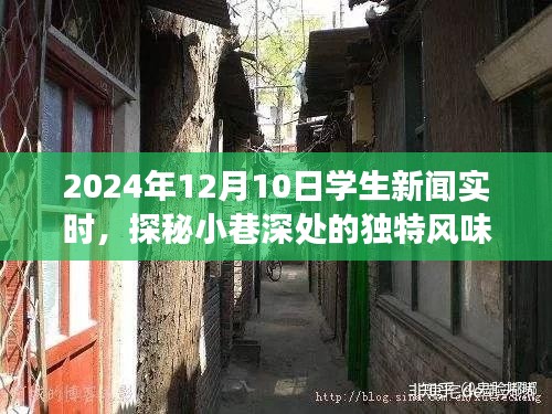 探秘小巷深处的独特风味，一家隐藏版特色小店的故事（2024年12月10日学生新闻实时）