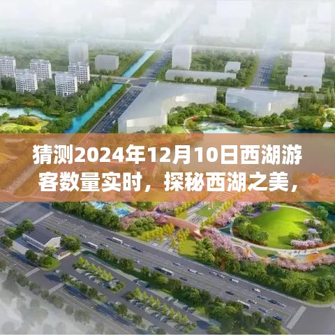 探秘西湖之美，预测2024年12月10日游客心灵之旅与实时游客数量