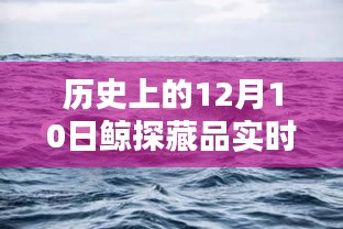 科技重塑藏品实时价格体系，揭秘历史上的12月10日鲸探藏品实时价格前瞻体验