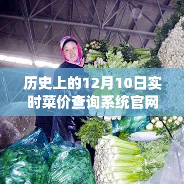 历史上的菜价变迁，实时菜价查询系统官网全新上线及历史菜价查询功能介绍