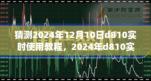 2024年D810实时使用教程展望，专家观点与个人立场分析