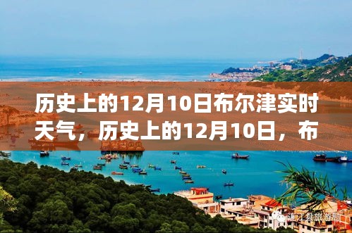 历史上的12月10日，布尔津的自然探索之旅与实时天气回顾