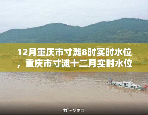 重庆市寸滩十二月实时水位深度解析与观点阐述，8时水位观测报告