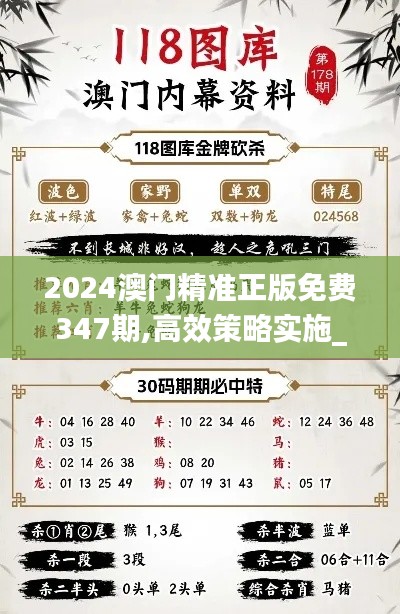 2024澳门精准正版免费347期,高效策略实施_尊贵款2.408