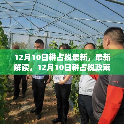 12月10日耕占税最新政策解读，全面更新，你必须知道的关键点