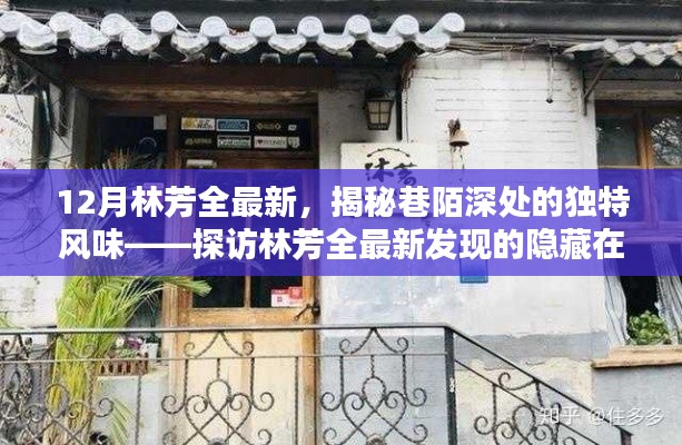 林芳全最新发现，巷陌深处的独特风味——探访小巷特色小店