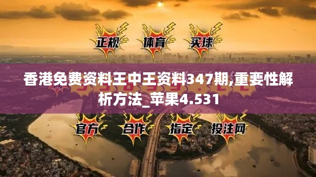 香港免费资料王中王资料347期,重要性解析方法_苹果4.531