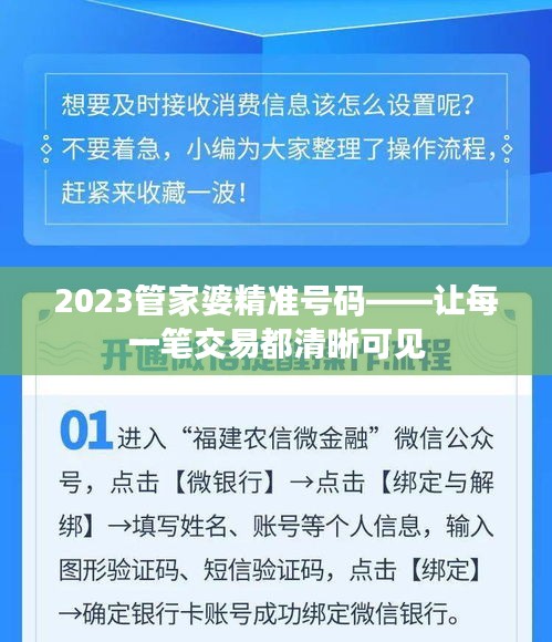 2023管家婆精准号码——让每一笔交易都清晰可见