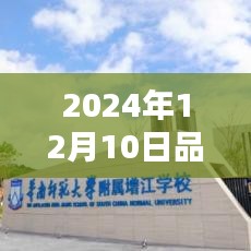 未来触手可及，2024年品牌高科技广告设计革新与生活体验重塑