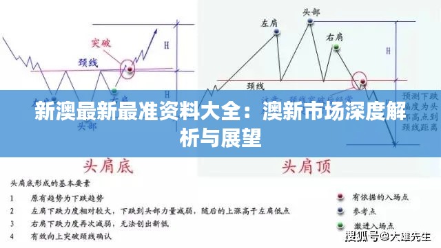 新澳最新最准资料大全：澳新市场深度解析与展望