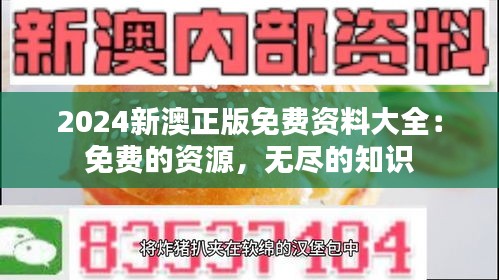 2024新澳正版免费资料大全：免费的资源，无尽的知识