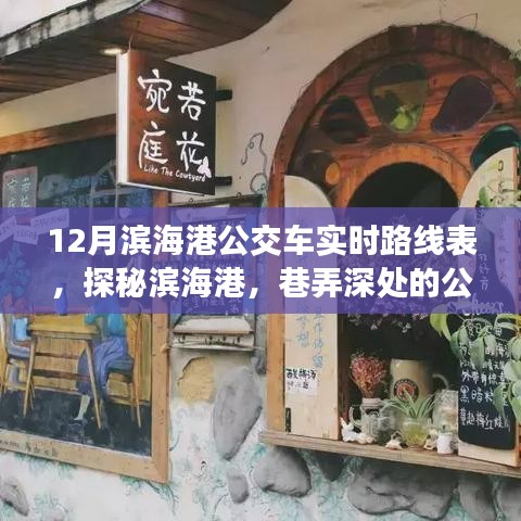 滨海港公交奇遇，实时路线表与隐藏特色小店探秘