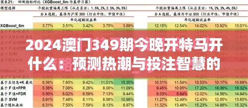 2024澳门349期今晚开特马开什么：预测热潮与投注智慧的碰撞