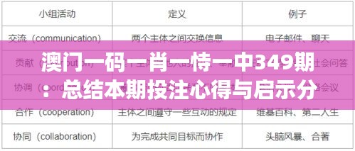 澳门一码一肖一恃一中349期：总结本期投注心得与启示分享