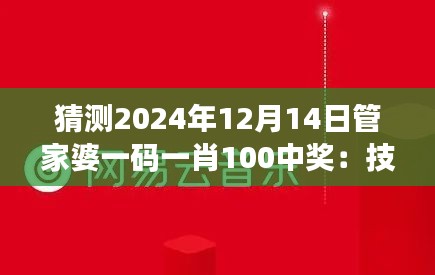 猜测2024年12月14日管家婆一码一肖100中奖：技巧与直觉的博弈