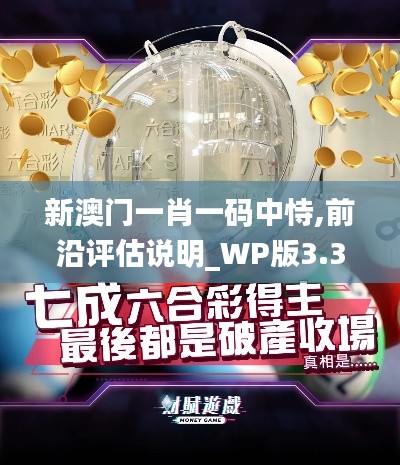 新澳门一肖一码中恃,前沿评估说明_WP版3.374