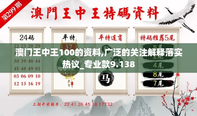 澳门王中王100的资料,广泛的关注解释落实热议_专业款9.138