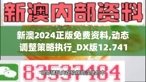 新澳2024正版免费资料,动态调整策略执行_DX版12.741