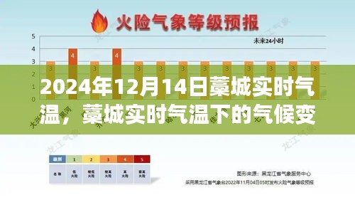 藁城实时气温观察与气候变迁之我见（2024年12月14日）