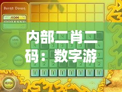 内部二肖二码：数字游戏中的策略与心理战