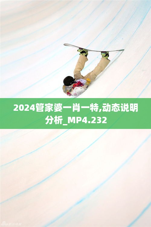 2024管家婆一肖一特,动态说明分析_MP4.232