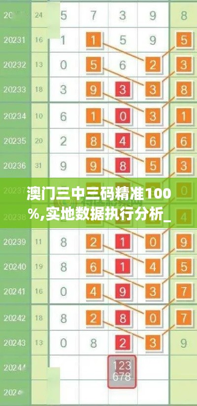 澳门三中三码精准100%,实地数据执行分析_Executive2.508