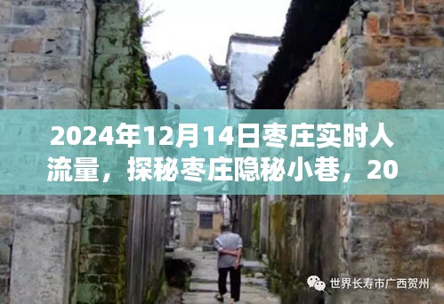 探秘枣庄隐秘小巷，揭秘枣庄实时人流量奇迹——2024年12月14日的人潮探秘之旅