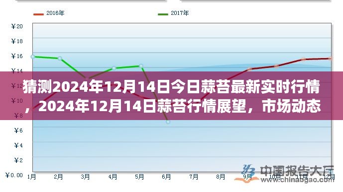 2024年12月14日蒜苔行情展望与市场动态微观探析