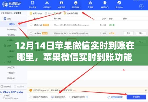 12月14日苹果微信实时到账功能使用详解，最新指南与位置指引