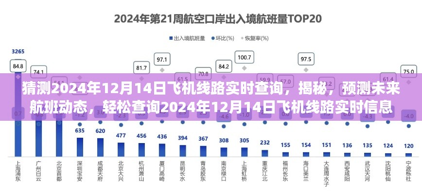 揭秘预测航班动态，轻松查询未来航班实时信息，掌握航班动态预测数据，2024年12月14日飞机线路实时查询揭秘。