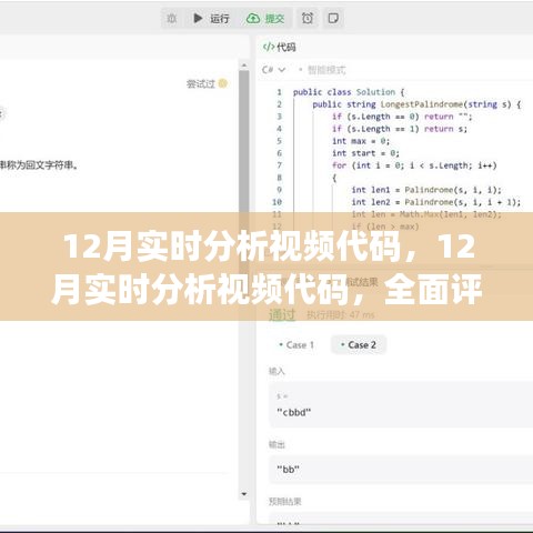 全面评测与介绍，12月实时分析视频代码详解