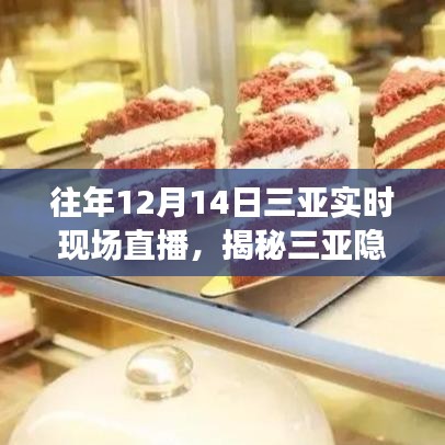 揭秘三亚隐藏小巷的神秘小店，一场直播之旅的独家体验