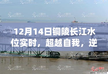 铜陵长江水位实时变化，逆流而上，超越自我的启示与励志之旅