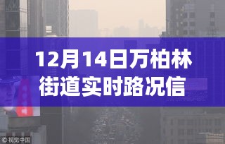 雪夜逆袭，万柏林街道路况实录，智慧与勇气的交响曲