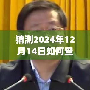 揭秘未来，如何查看基金实时持股人动态（2024年预测版）