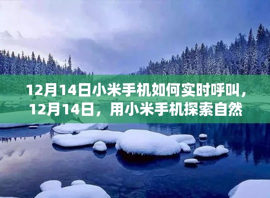 小米手机实时呼叫功能探索，启程寻找自然美景的内心平静之旅