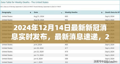 实时更新，2024年12月14日新冠最新动态与消息速递