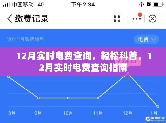 12月实时电费查询指南，轻松科普如何查询电费