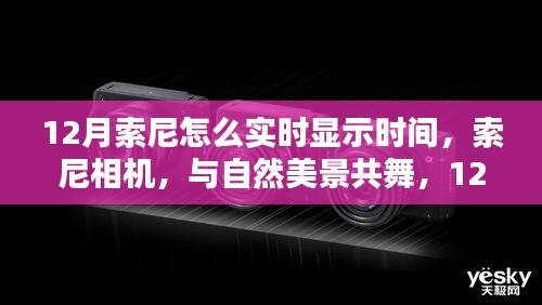 索尼相机，与自然美景共舞，十二月实时显示时间的摄影艺术之旅