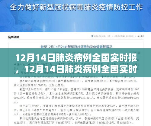 12月14日肺炎病例全国实时报及其产品评测报告