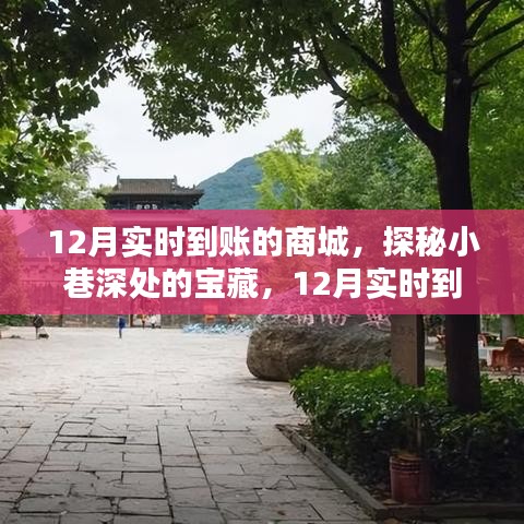 探秘宝藏之地，12月实时到账惊喜商城