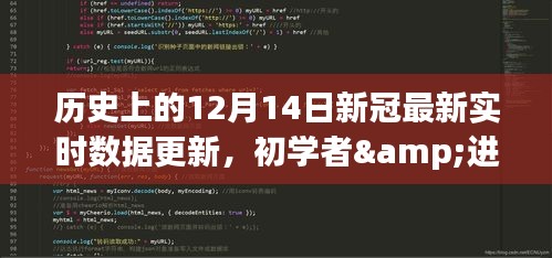 历史上的12月14日新冠病毒实时数据更新与解析指南，初学者与进阶用户必备指南