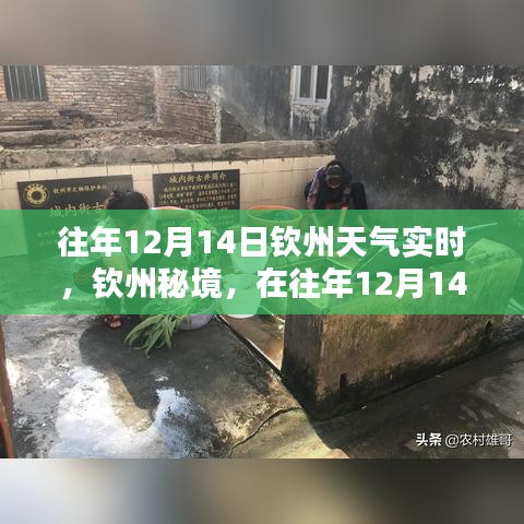 花开无言 第3页