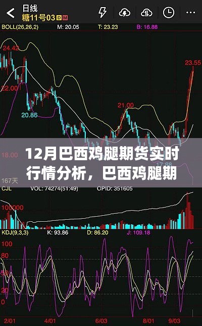 巴西鸡腿期货风云，日常故事与实时行情分析之旅