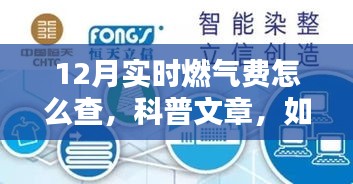 如何轻松查询12月实时燃气费，详细科普指南