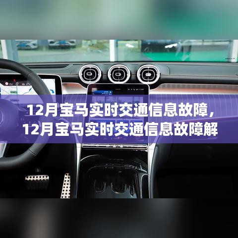 12月宝马实时交通信息故障深度解析，特性、体验、竞品对比及用户洞察