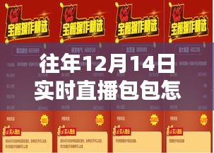 关于往年12月14日实时直播包包下载的探讨与观点分享